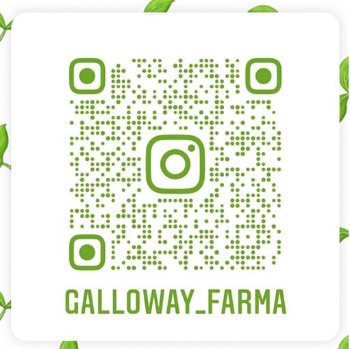 Instagram GF