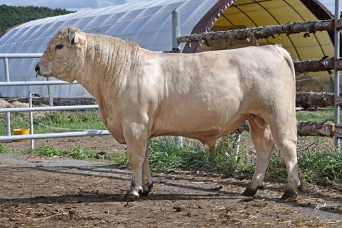 Jurasek 2025 317 6